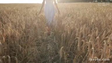 在夕阳的余晖中，身穿白色连衣裙的优雅女子<strong>双臂</strong>张开，穿过麦田